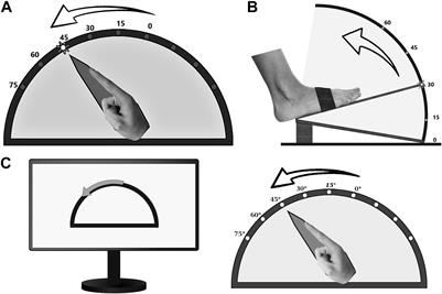 Temporal Discrimination Thresholds and Proprioceptive Performance: Impact of Age and Nerve Conduction